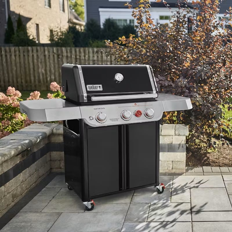 Weber Genesis Series