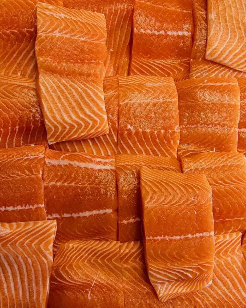Salmon Fillet