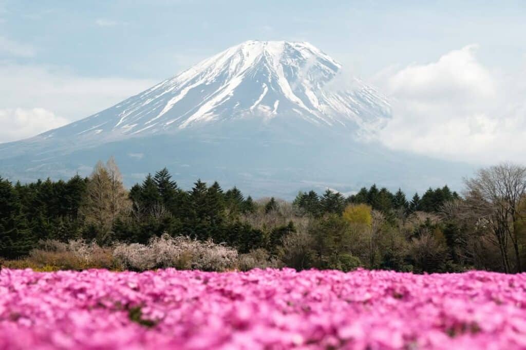 A Beautiful View Of Mount Fuji Japan