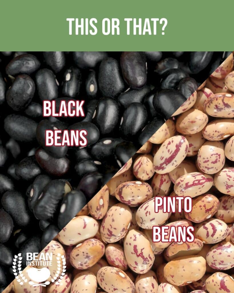 Beans For Ham And Beans Recipe