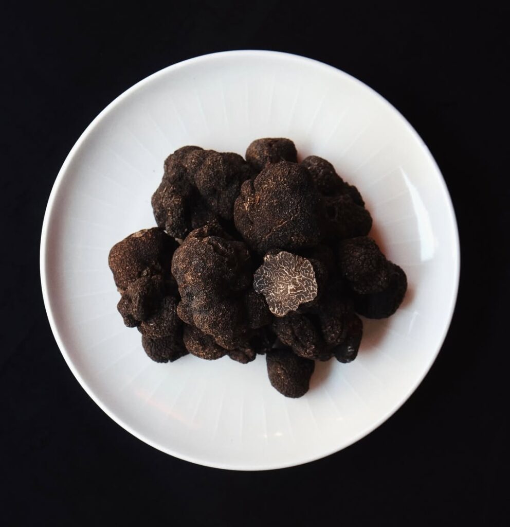 Fresh Perigord Black Truffles