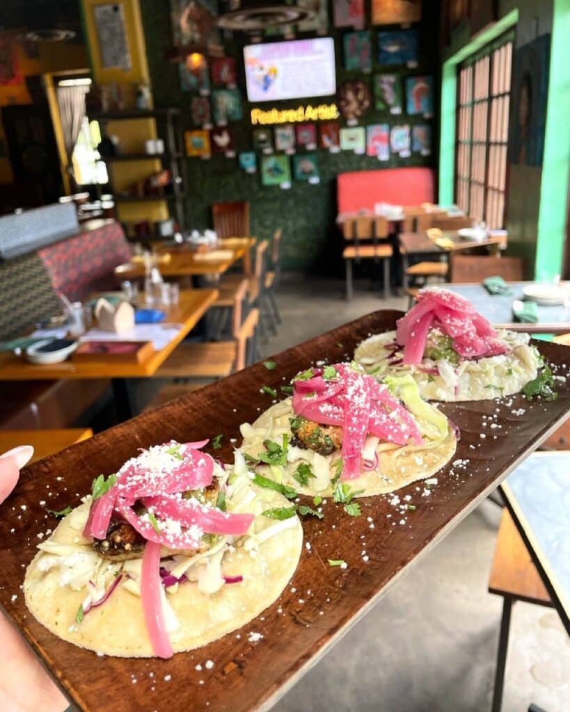 10 Grilled Fish Taco Ideas For Flavorful Meals 7 Honey Lime Grilled Fish Tacos