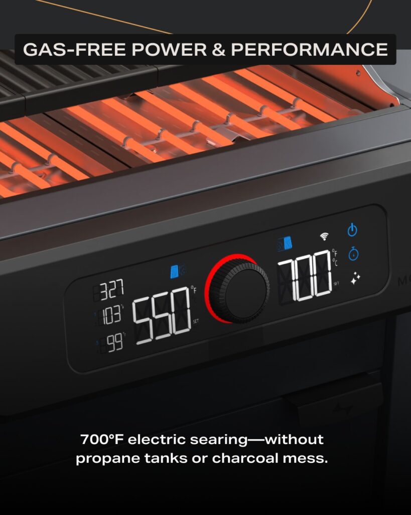 This Electric Grill Can Match Other Grills With Incredible Efficiency