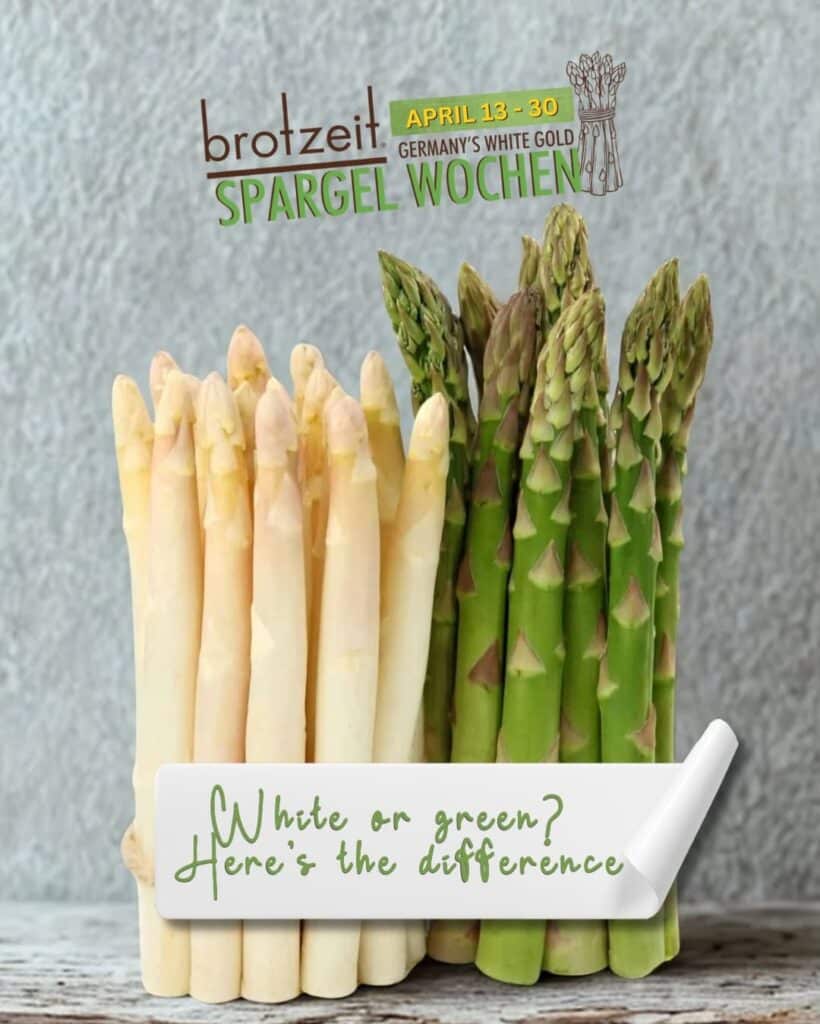 White Asparagus