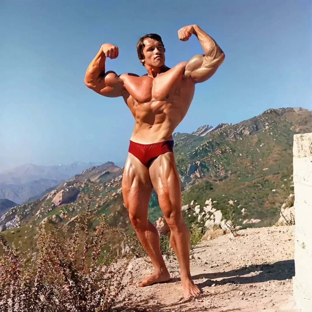 arnold schwarzenegger diet plan