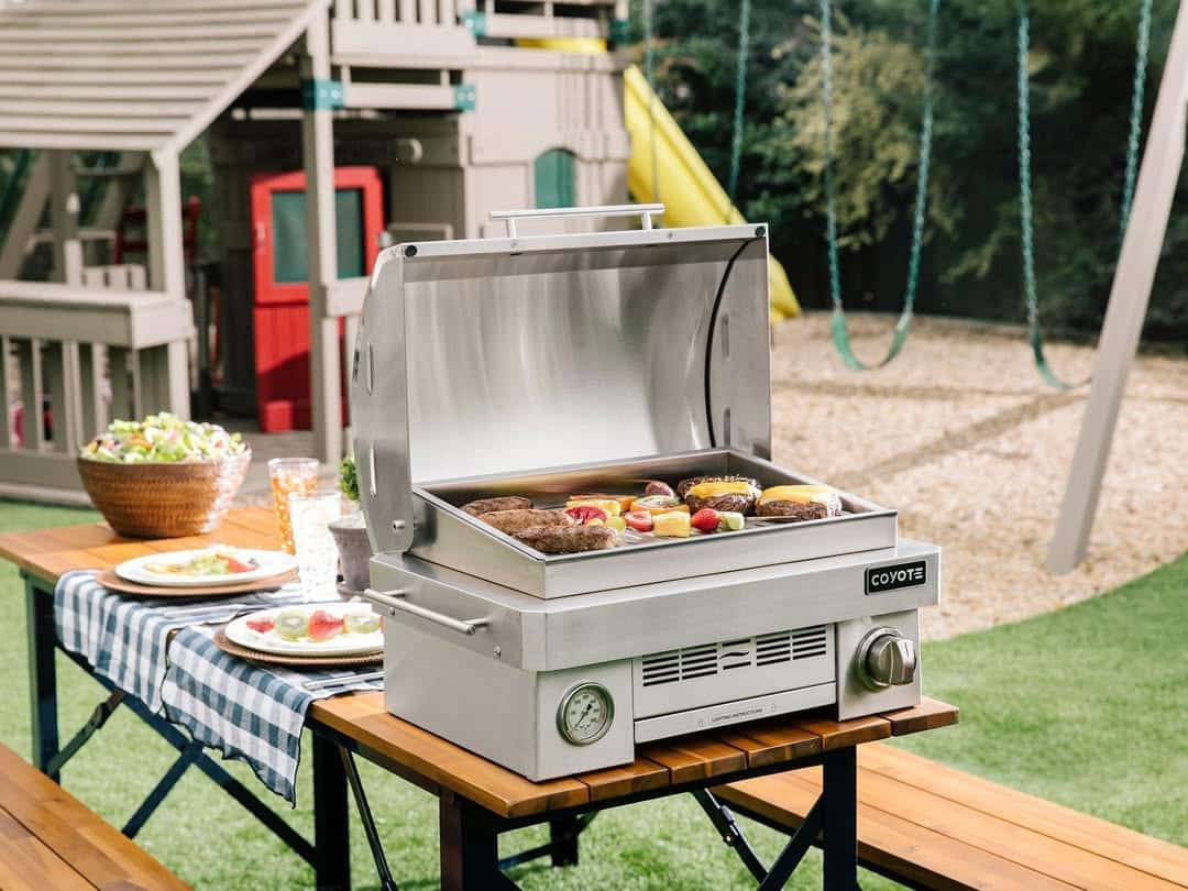 best portable gas grills for large cookouts