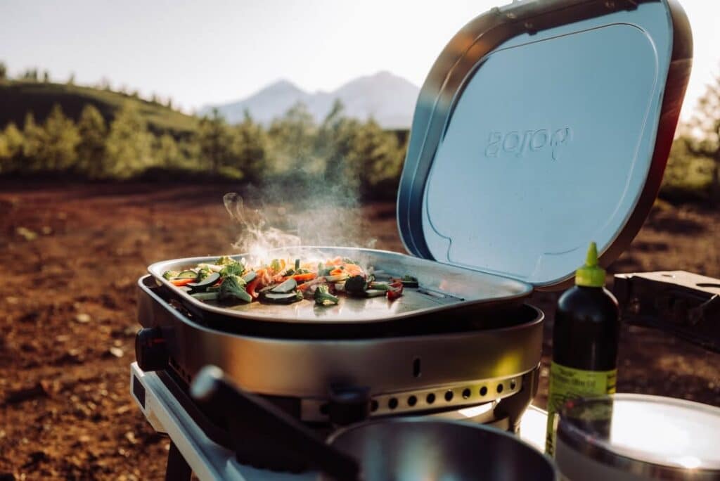 Campers And Road Trippers Favorite Portable Gas Grill