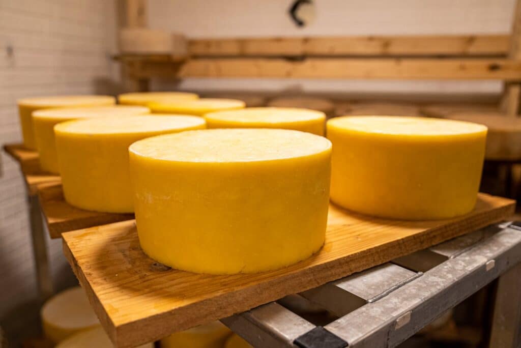 Cheese The Flavor And Texture Enhancer