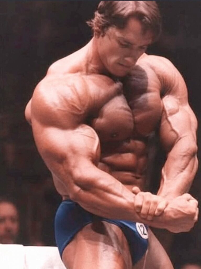 Mister Olympia Competition With Arnold Schwarzenegger