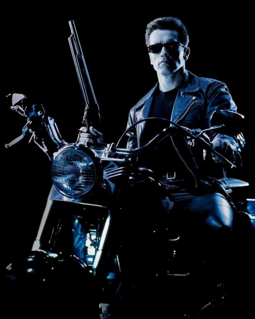 Terminator 2 Poster With Arnold Schwarzenegger