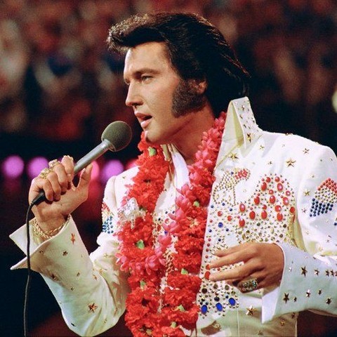 Elvis Presley Iconic Photo
