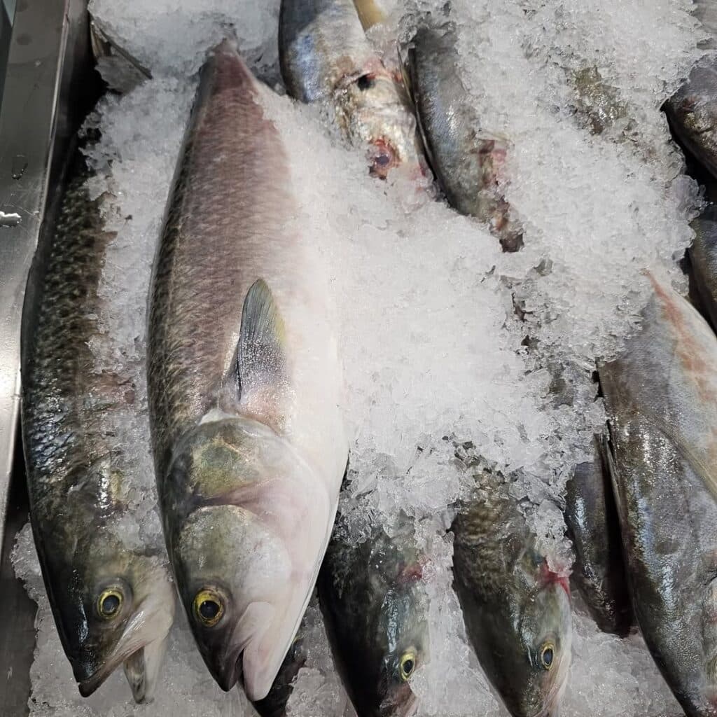 Market-Fresh Fish On Ice