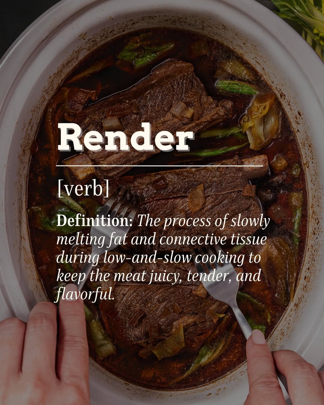 meat dynamics low-and-slow cooking