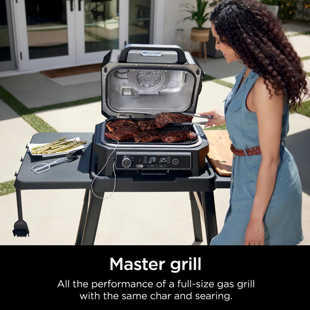 Ninja Woodfire Outdoor Grill