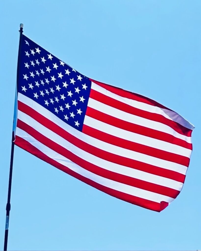 The Flag Of The United States Of America