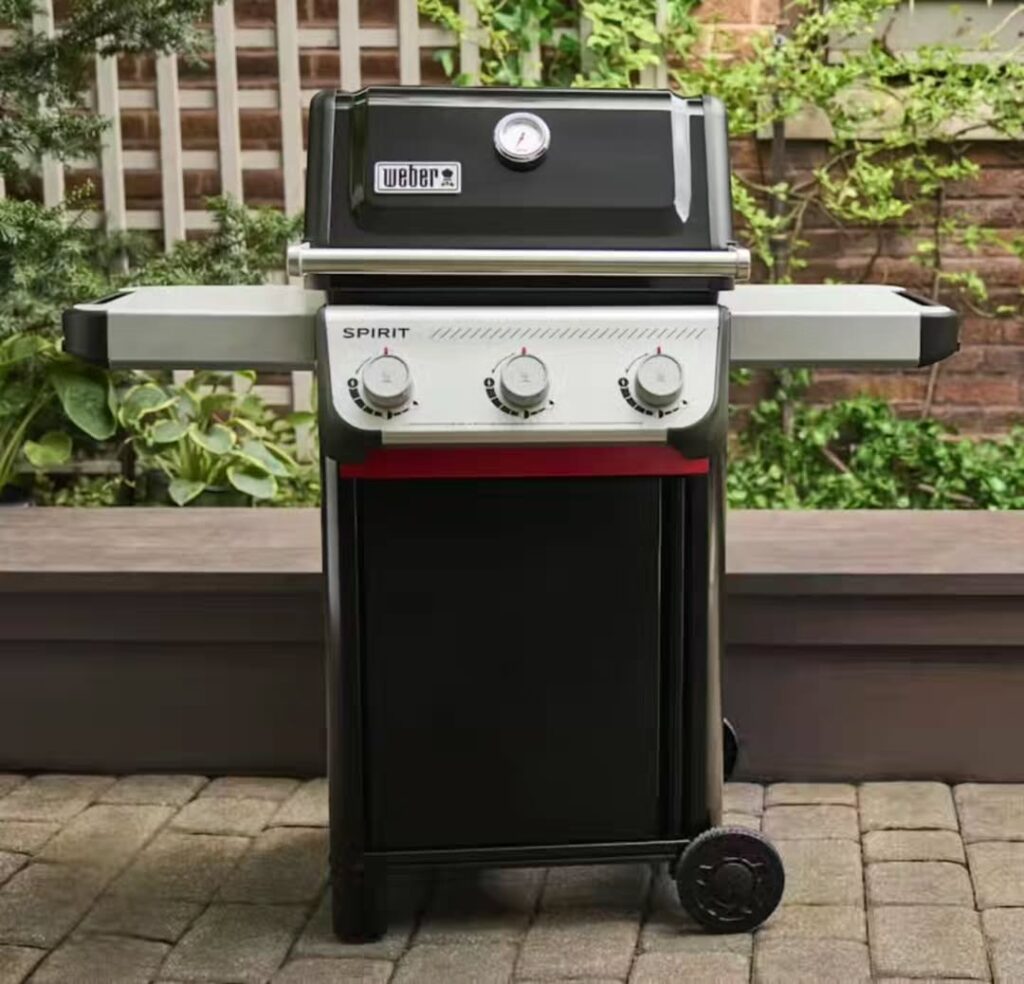 The Backyard Mvps: 12 Best Grills For Summer Bbq Lovers 4 Weber Spirit Ii E-310