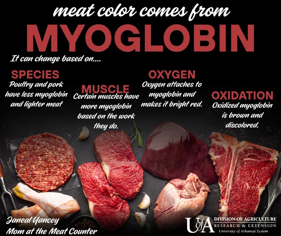 Different Types Of Myoglobin