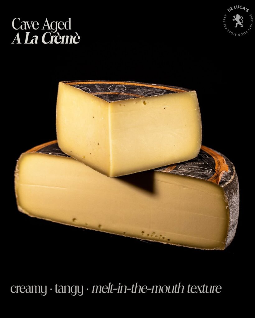 Huge Swiss Cheese
