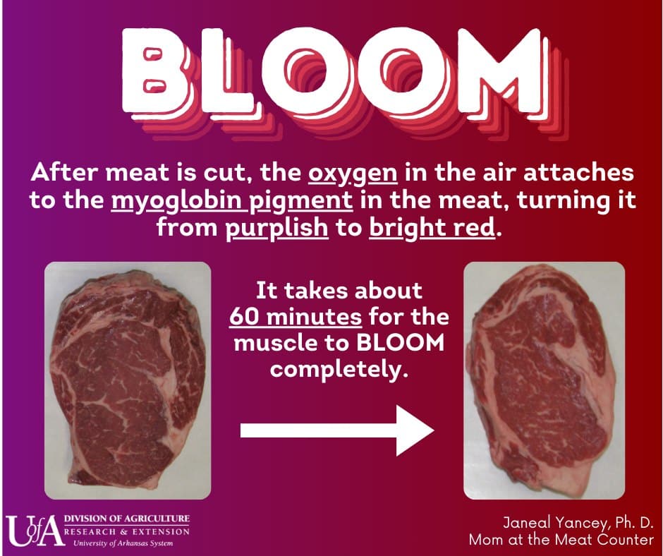 meat bloom explained