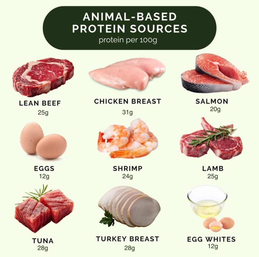Animal-Based Proteins