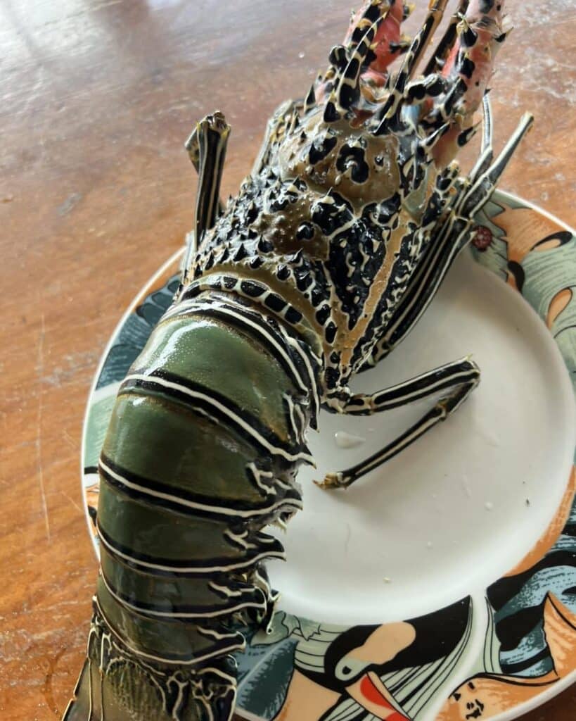 Fresh Lobster Prepped For The Grill