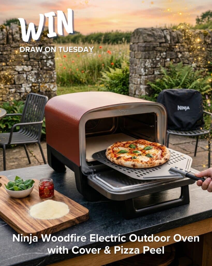 Ninja Woodfire Outdoor Pizza Oven