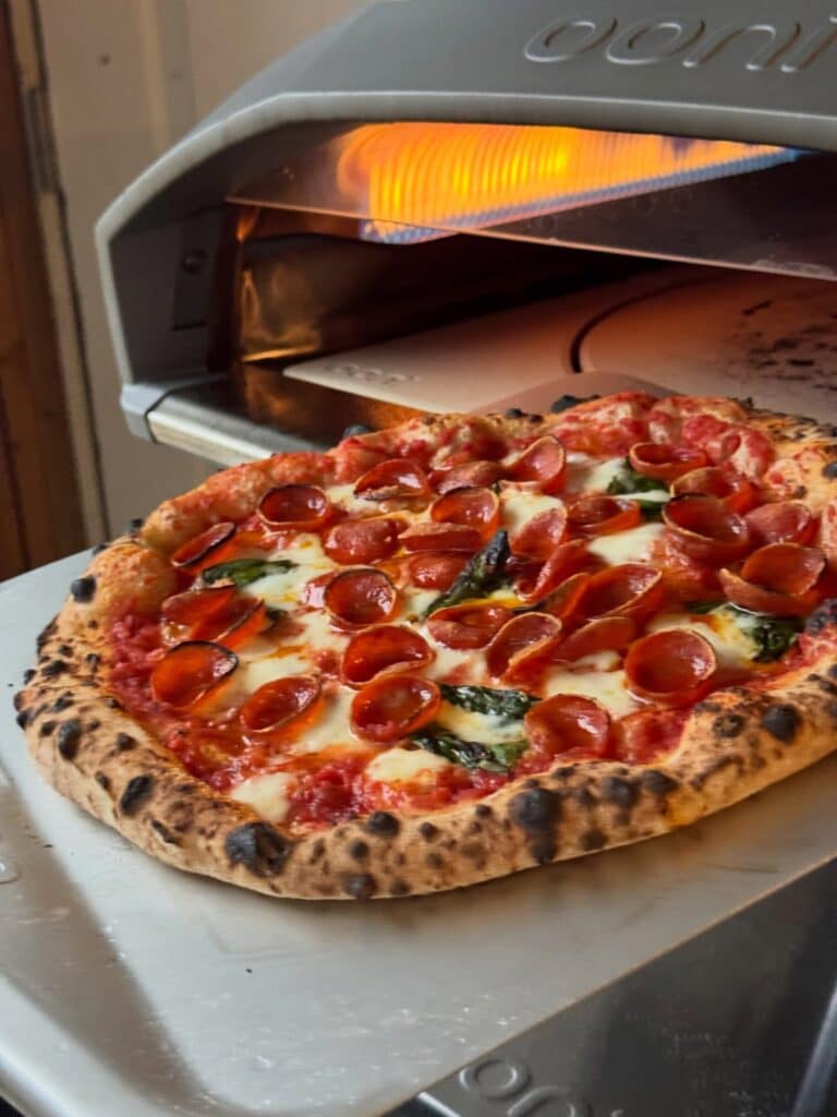 Ooni Mimiuo Pizza Oven Pros And Cons 
