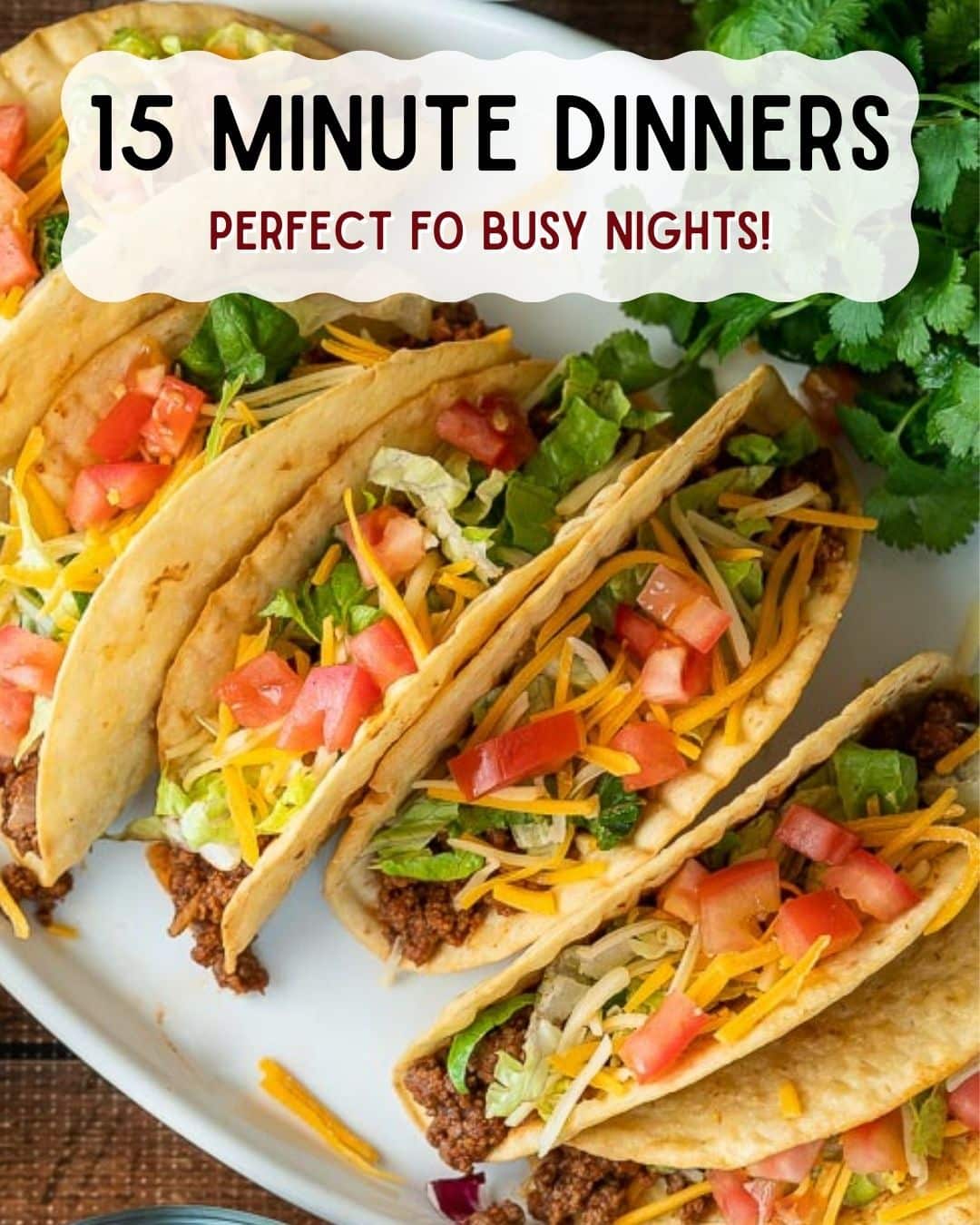 fast dinner recipes quick fix