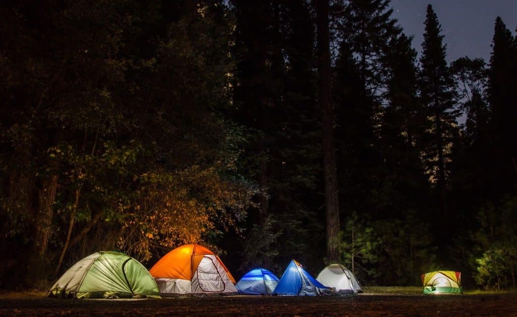 Camping In The Forest At Nighttime 