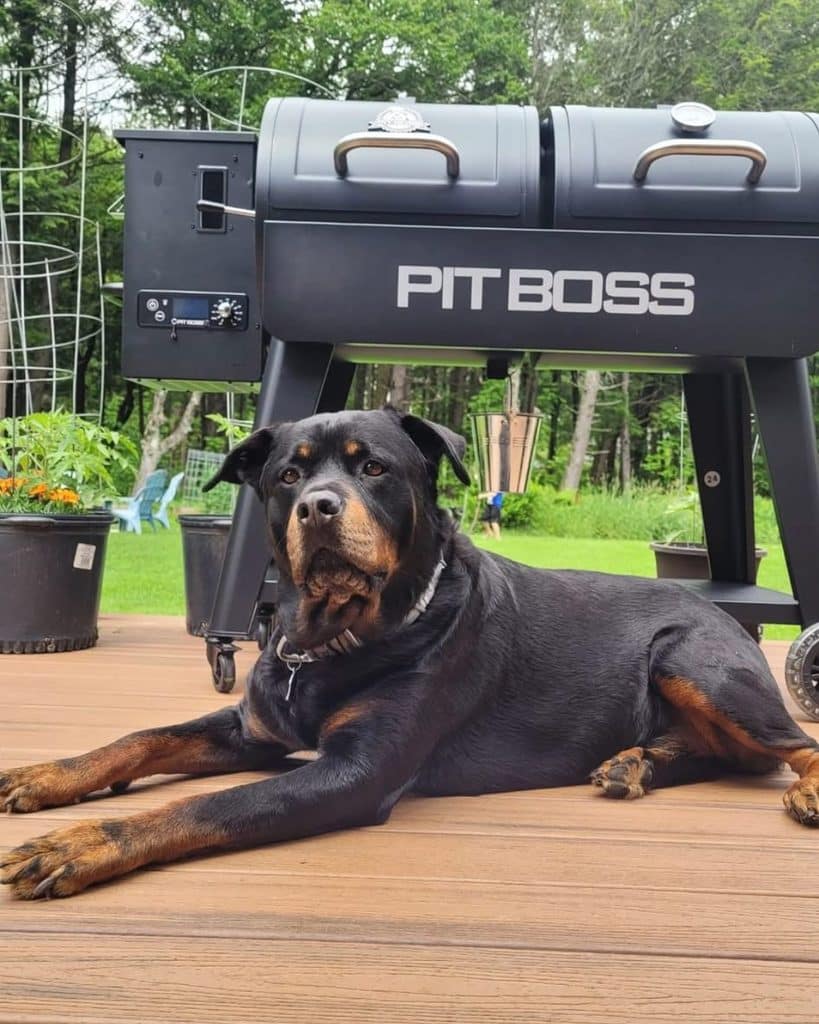 Pit Boss Pb440Fb1