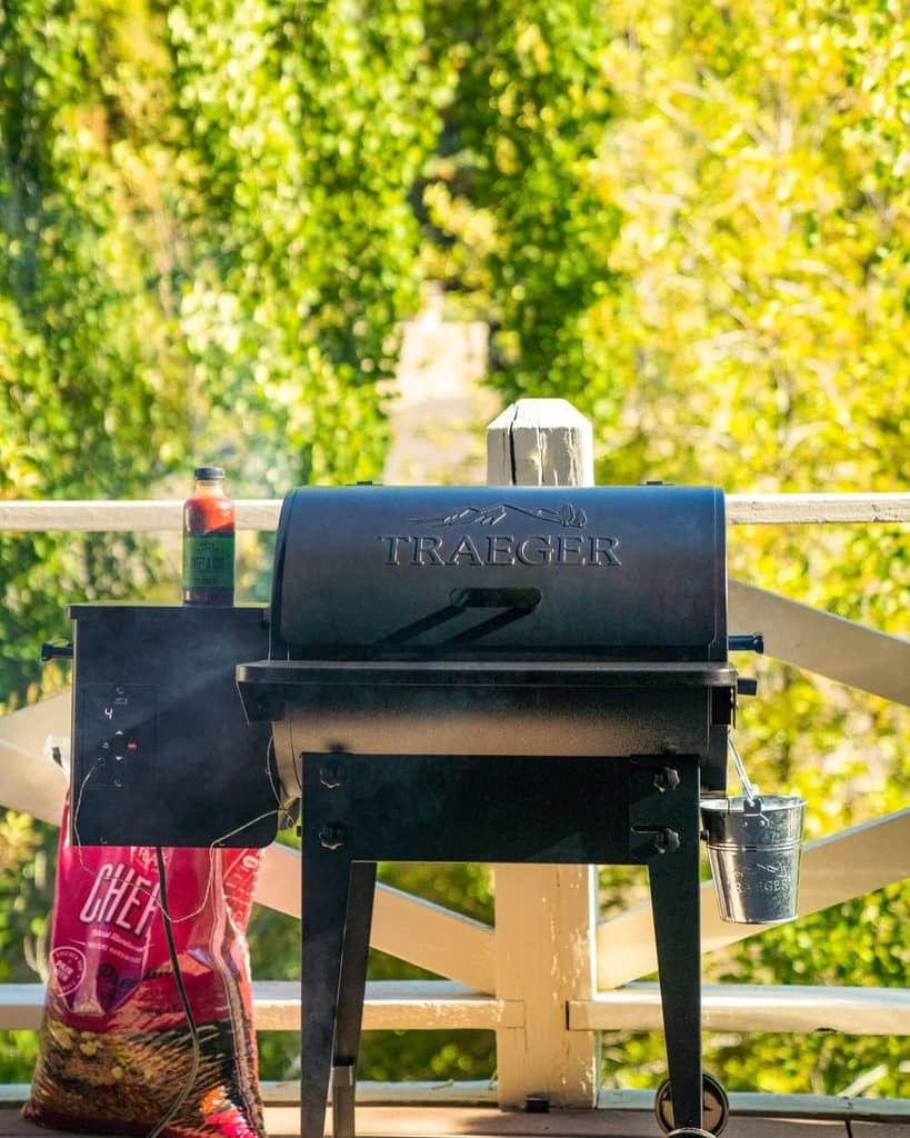 Traeger Tailgater 20